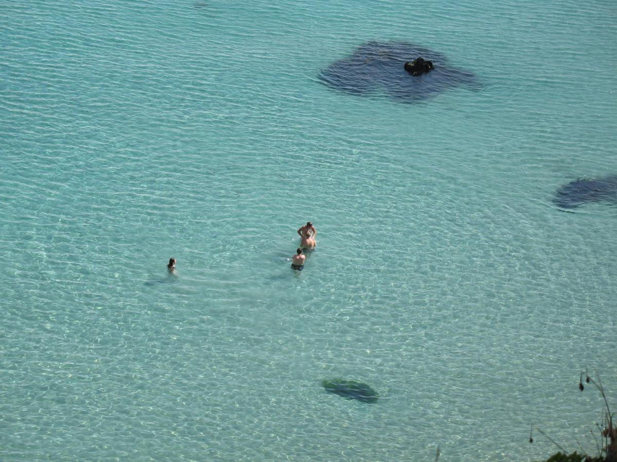 Le Portzic, Appartement Proche Plage De Morgat Crozon Exterior foto